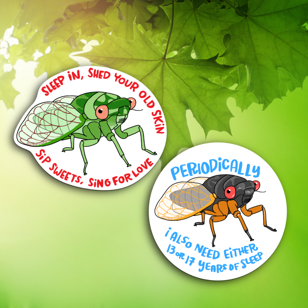 Cicada Love Combo: Zine and Stickers