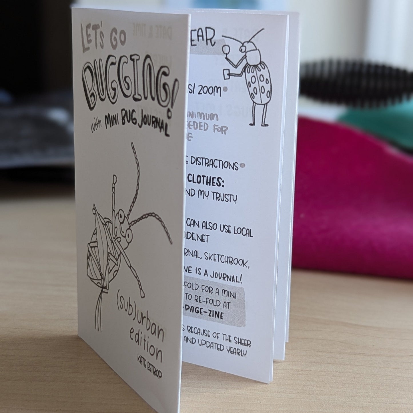 Let's Go Bugging! Zine