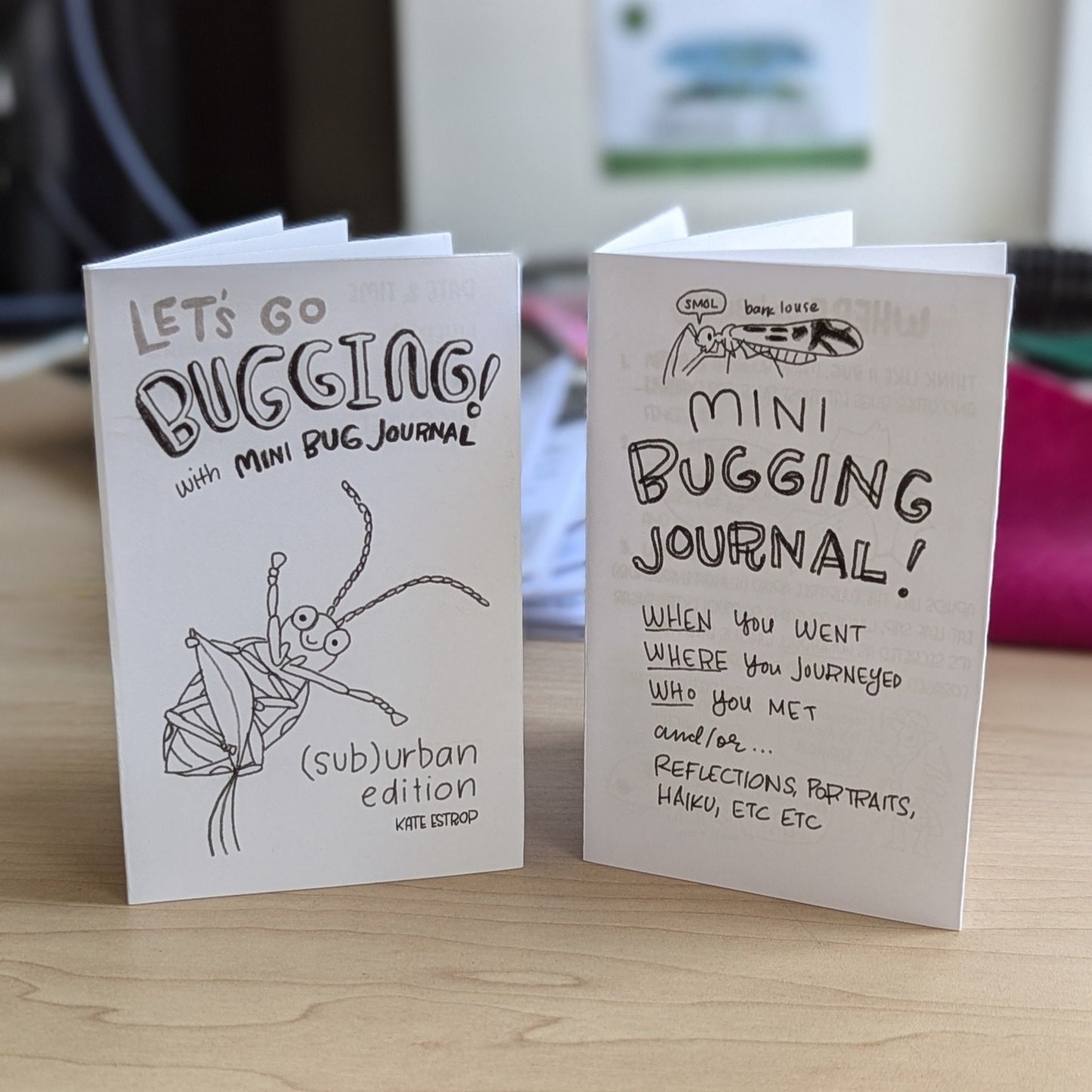 Let's Go Bugging! Zine