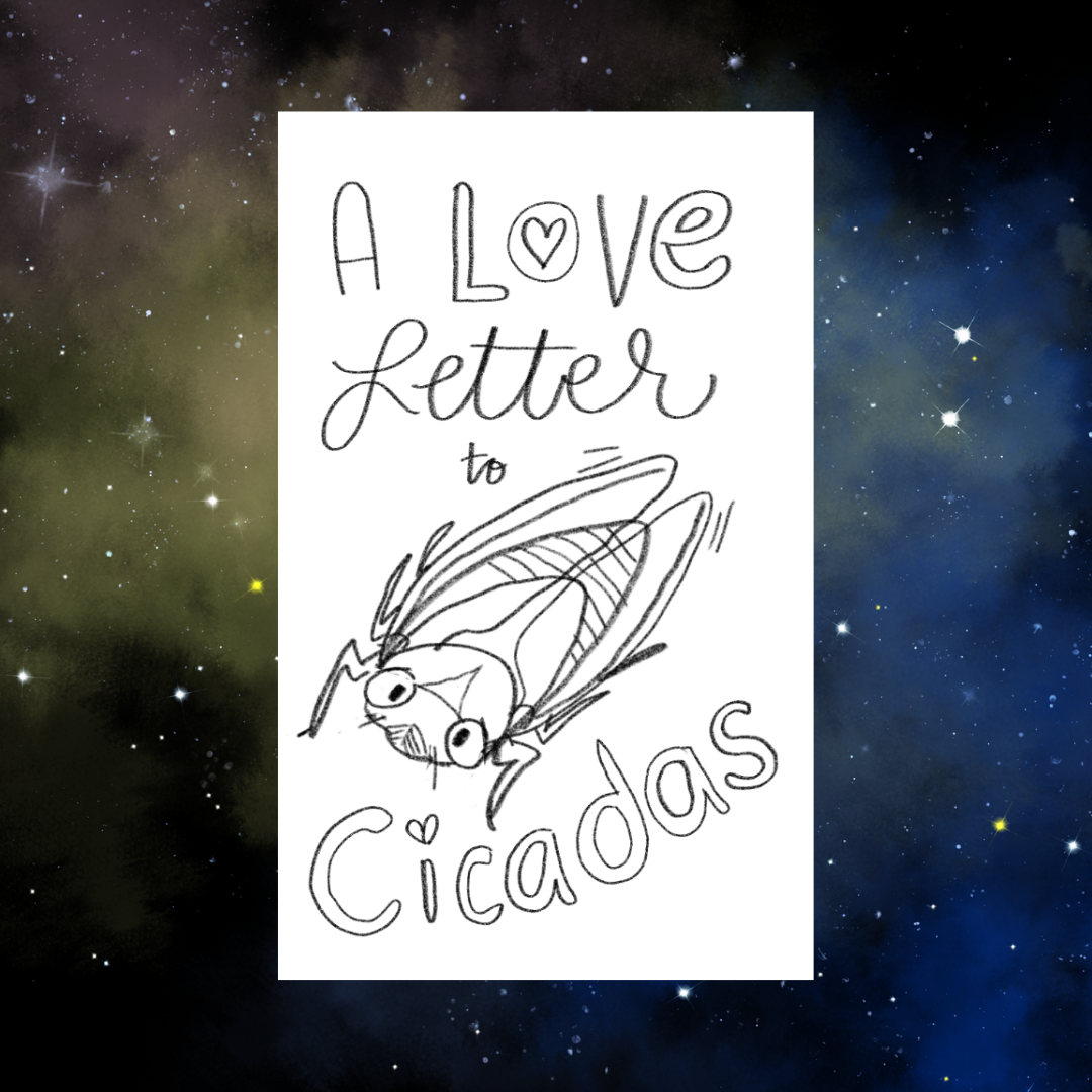 Cicada Love Combo: Zine and Stickers