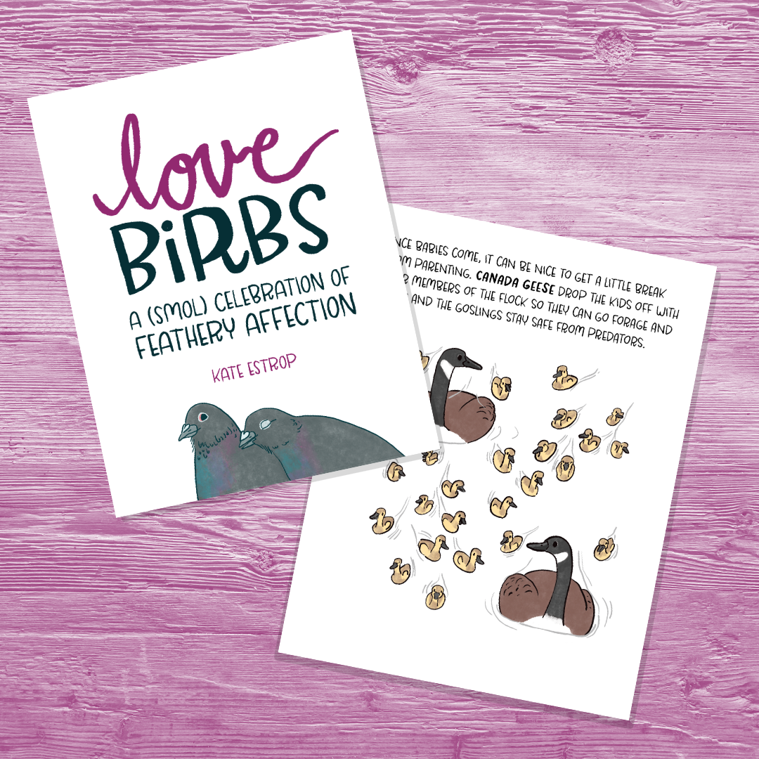 Love Birbs Zine