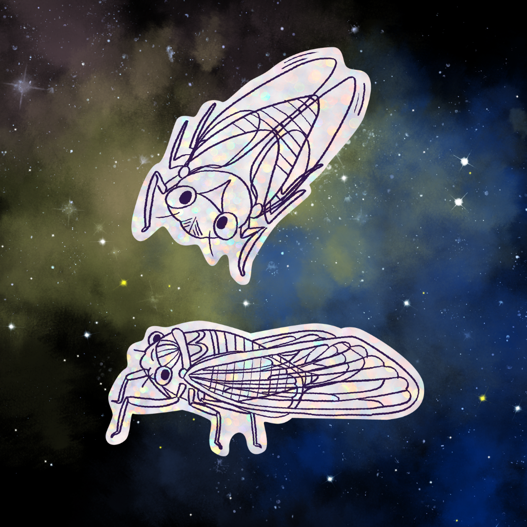 Cicada Love Combo: Zine and Stickers
