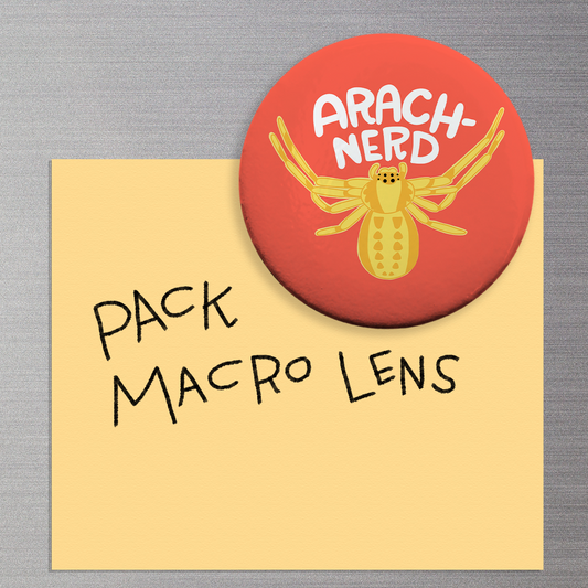 Arach-Nerd Magnet