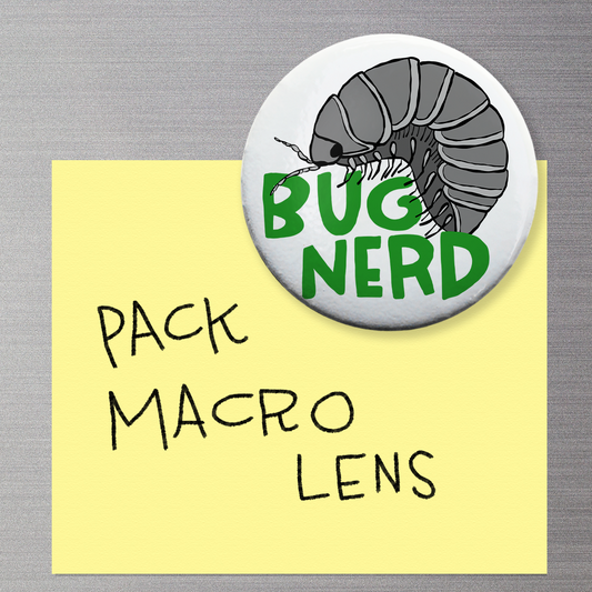 Roly Poly Bug Nerd Magnet