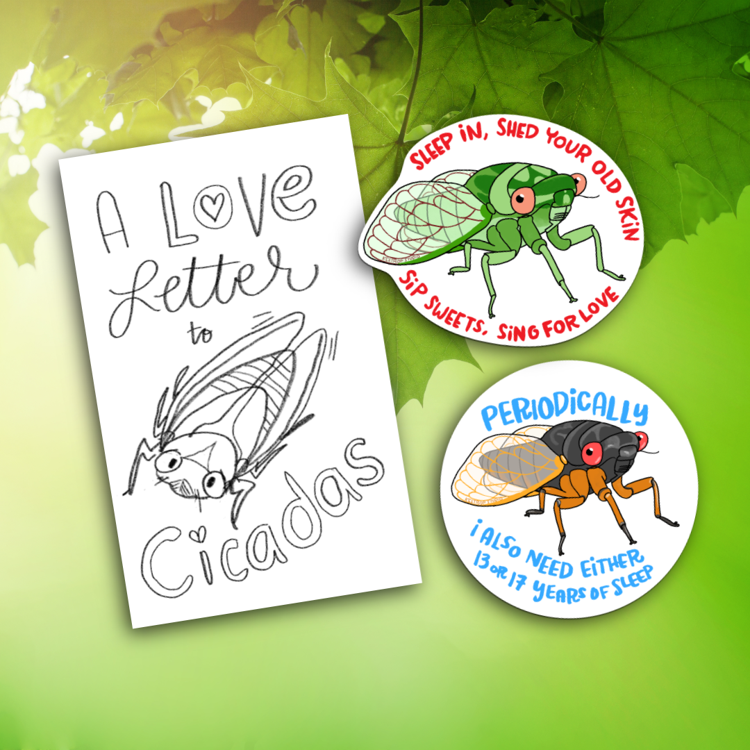 Cicada Love Combo: Zine and Stickers