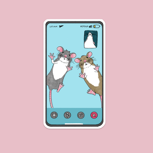 Rats on Facetime Vinyl Sticker