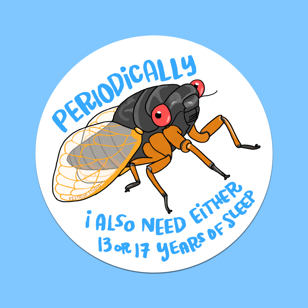 Periodical Cicada Sleep In Sticker